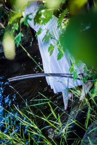 Feel like getting your feet wet?